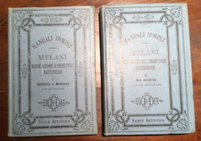 Hoepli DECORAZIONI E INDUSTRIE ARTISTICHE A. Melani 1888 - 1889   2 Volumi