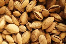 Mandorle Mollesi / con guscio