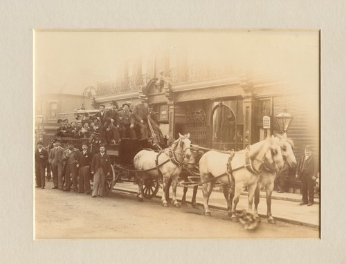 Cavallo carrozza veicoli - cavallo,