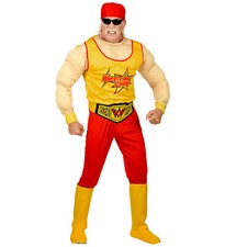 COSTUME WRESTLING CHAMP