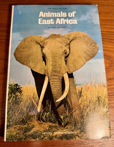 Animals east africa by - africa,