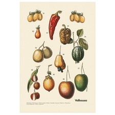 Canovaccio da cucina Vallesusa