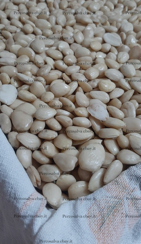 Mandorle pelate bianche - kg,