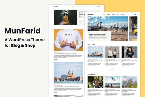 Wordpress premium theme - wordpress,
