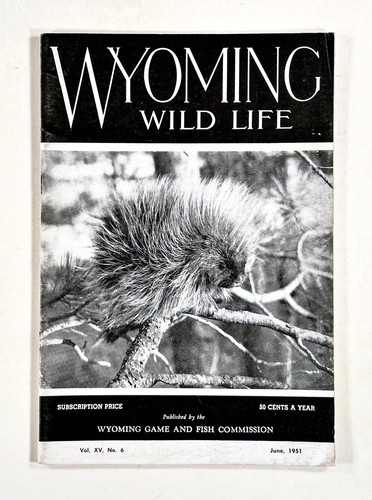 1951 jun wyoming - jun, wildlife