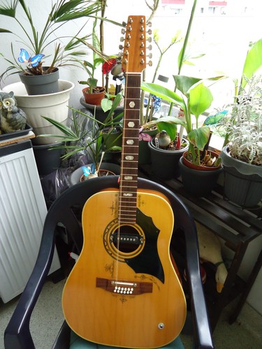Chitarra western musima - chitarra, 12