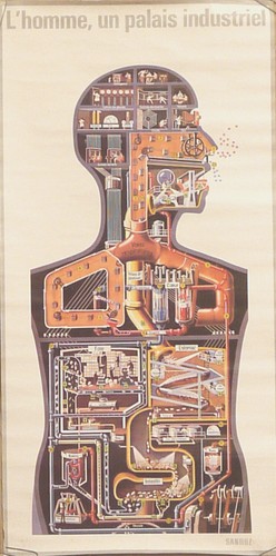 Prl 1970 corpo umano - corpo, sandoz