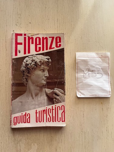 Guida turistica firenze - guida,