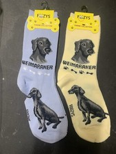 Calze cane da caccia