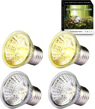 4 Lampadine 50W Tartarughe