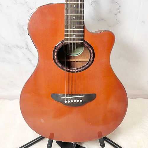 Chitarra elettrica acustica