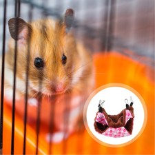  Brandina Per Animali