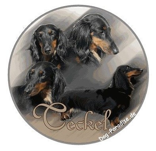 Adesivo design nano bassotto - design,