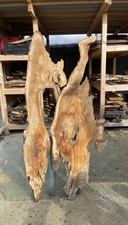 Coppia di tavole di legno di