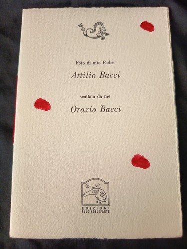 Attilio bacci foto - di, mio