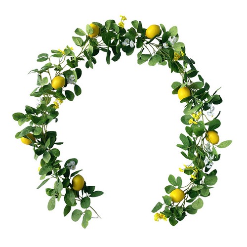 Ghirlanda limone rattan - ghirlanda, di