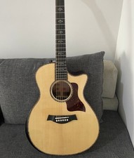 Chitarra Elettrica Acustica