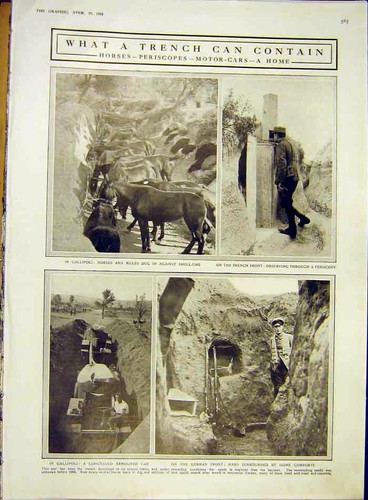 Vecchia stampa antica - vecchia,