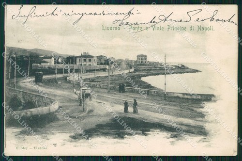 Livorno città viale principe - viale,