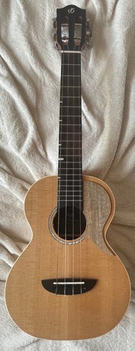 Electro acoustic tenore - electro,