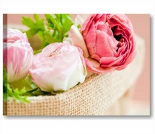 Rose vintage 7 QUADRO STAMPA TELA 70x50 cm ARREDAMENTO SHABBY CHIC PEONIE ROSA