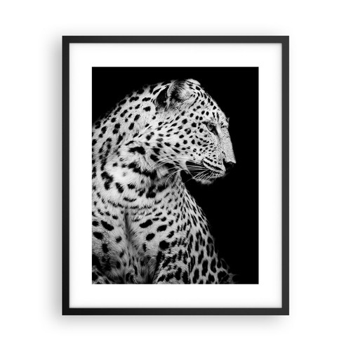Poster 40x50cm leopardo - poster,