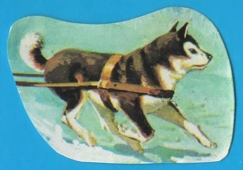 Figurina panini big jim album - panini,