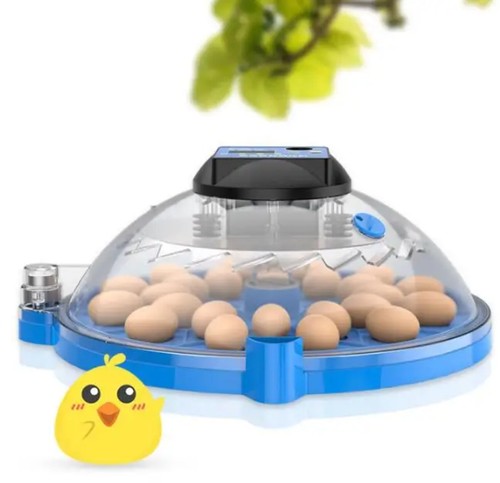 Incubatrice domestica piccola