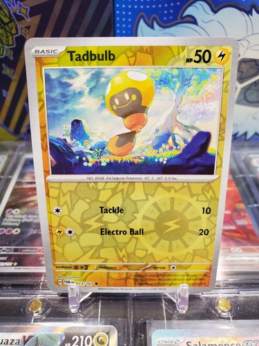 Tadbulb 073 167 - tadbulb, reverse