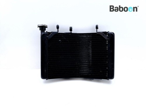 Radiatore agusta brutale - radiatore, mv
