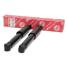 2x Ammortizzatori posteriori