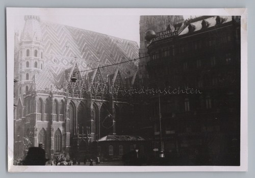 Vienna austria cattedrale di - vienna,
