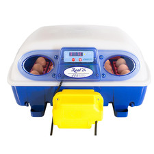 Real 24 | Incubatrice per Uova