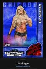 Topps WWE Slam Elimination