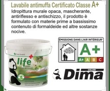 Pittura per interni - pittura,