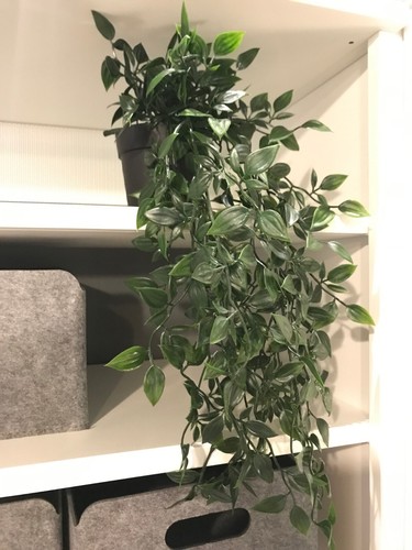 Ikea fejka pianta - fejka,