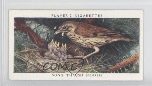 1937 player birds their - birds, &