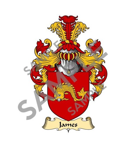 James cognome stemma araldica - james,