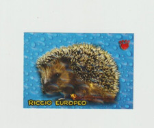 PIZZARDI AMICI CUCCIOLOTTI