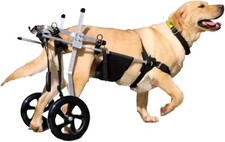 Sedia a rotelle per Cani di