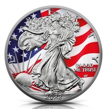 1 oz Silver Eagle 2022 -