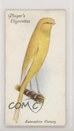 1933 giocatore aviaria - giocatore, e