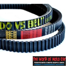 G8007831 CINGHIA TRASMISSIONE