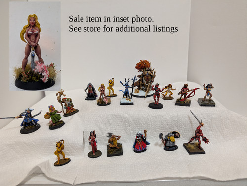 Miniature dnd guerriera - dnd:,