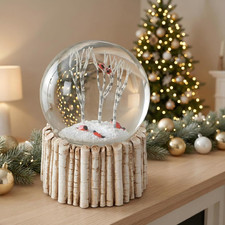 Palla Di Neve Cardinale, Palla