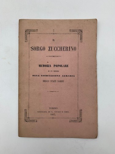 Sorgo zuccherino memoria - zuccherino.,