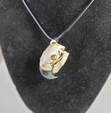 Collana teschio pappagallo - , ara