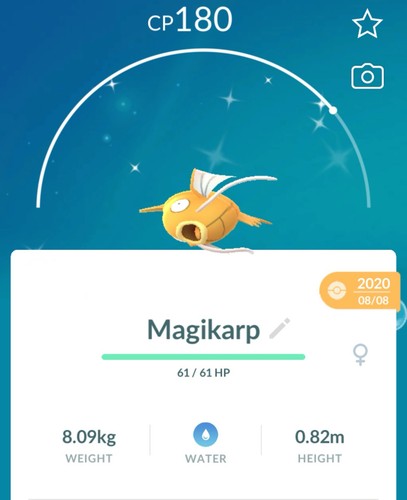 Shiny magikarp 2019 pokemon - magikarp,