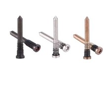 2 viti LCD Pentalobe iPhone 11