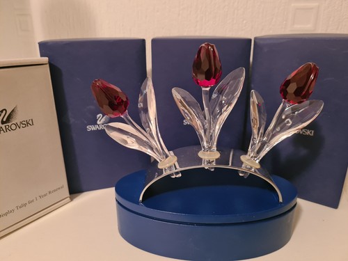 Swarovski scs 2003 membri - scs,